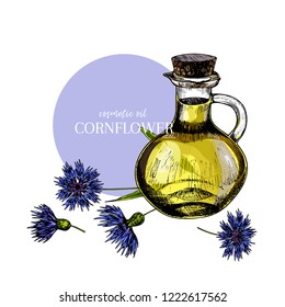 Hand drawn set of essential oils. Vector colored cornflower flower. Medicinal herb with glass dropper bottle. Engraved art. For cosmetics, medicine, treating, aromatherapy, package design health care.