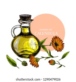 Hand drawn set of essential oils. Vector colored calendula flower. Medicinal herb with glass dropper bottle. Engraved art. For cosmetics, medicine, treating, aromatherapy, package design health care.