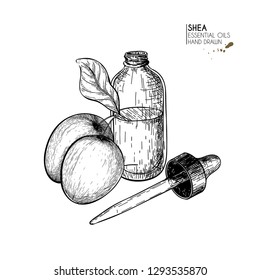 Hand drawn set of essential oils. Vector shea nut butter. Medicinal herb with glass dropper bottle. Engraved art. Good for cosmetics, medicine, treating, aromatherapy, package design health care.