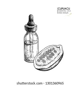 Hand drawn set of essential oils. Vector cupuacu nut butter. Medicinal herb with glass dropper bottle. Engraved art. Good for cosmetics, medicine, treating, aromatherapy, package design health care.