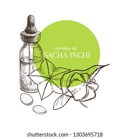 Hand drawn set of essential oils. Vector sacha inchi serum. Medicinal herb with glass dropper bottle. Engraved art. Good for cosmetics, medicine, treating, aromatherapy, package design health care.