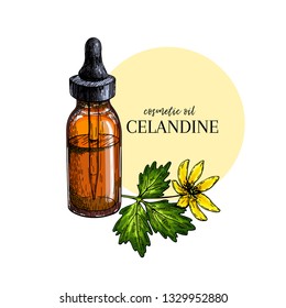 Hand drawn set of essential oils. Vector celandine flower. Medicinal herb with vintage glass dropper bottle. Colored Engraved art. Good for cosmetics, medicine, treating, package design healthcare.