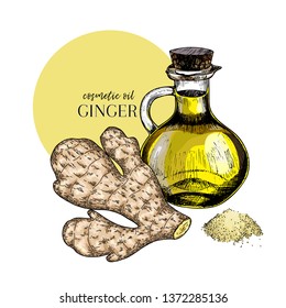Hand drawn set of essential oils. Vector colored ginger branch. Medicinal spicy herb with glass bottle. Engraved art. Food condiment. Cosmetics, medicine, cooking, package design, food ingredient.