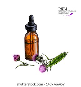 Hand drawn set of essential oils. Vector milk thistle flower. Medicinal herb with glass dropper bottle. Engraved coloredart. Cosmetics, medicine, treating, aromatherapy, package design healthcare