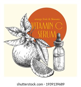 Hand drawn set of essential oils. Vector sweet orange fruit. Medicinal herb with glass dropper bottle. Engraved art. Good for cosmetics, medicine, treating, healthcare, package design, moisturizing