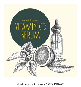 Hand drawn set of essential oils. Vector lime fruit. Medicinal herb with glass dropper bottle. Engraved art. Good for cosmetics, medicine, treating, healthcare, package design, moisturizing