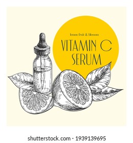 Hand drawn set of essential oils. Vector grapefrut, sour orange. Medicinal herb with glass dropper bottle. Engraved art. For cosmetics, medicine, treating, healthcare, package design, moisturizing