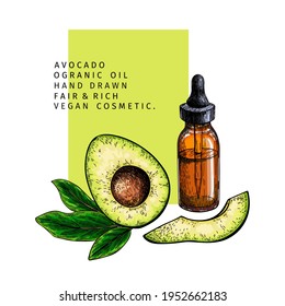Conjunto de aceites esenciales dibujado a mano. Rasgos de aguacate vectorial. Planta medicinal con frasco de gotas de vidrio. Arte de color grabado para cosméticos, medicina, tratamiento, aromaterapia, diseño de paquetes de asistencia sanitaria