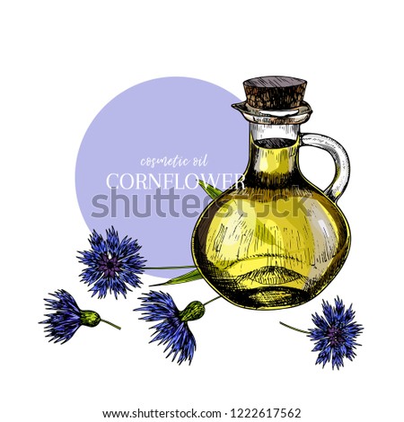 Hand drawn set of essential oils. Vector colored cornflower flower. Medicinal herb with glass dropper bottle. Engraved art. For cosmetics, medicine, treating, aromatherapy, package design health care.