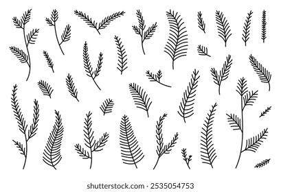 Hand drawn set evergreen tree branches. Conifer black branches isolated on a white background. Minimalistic linear elements. Vector illustration.