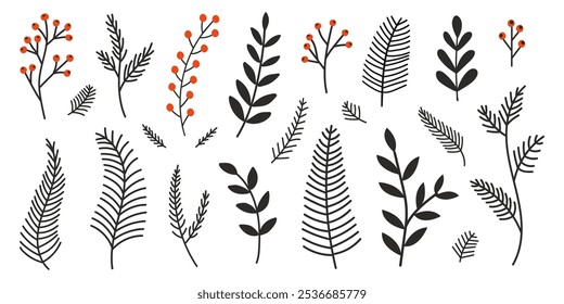 Hand drawn set evergreen tree branches. Conifer black branches isolated on a white background. Minimalistic linear elements. Vector illustration