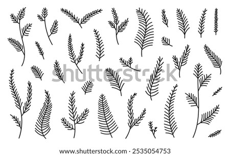 Hand drawn set evergreen tree branches. Conifer black branches isolated on a white background. Minimalistic linear elements. Vector illustration.