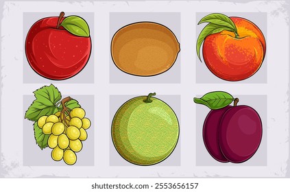 Hand drawn set of exotic fruits, grapes, kiwi, peach, cantaloupe, red apple, plum with green leaves