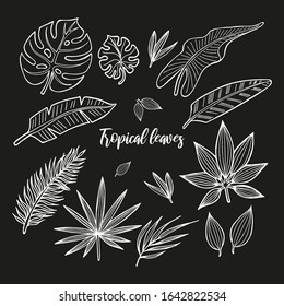 Hand drawn set with exotic tropical leaves. In doodle style, white outline isolated on a black background. Cute elements for cards, social media banners, stickers, design. Vector illustration.