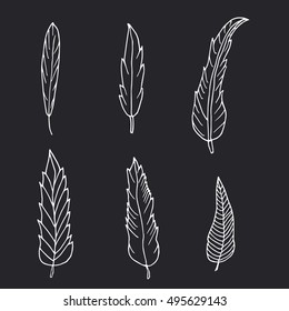 Hand drawn set of feathers on black background. 