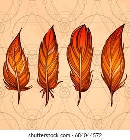 Hand drawn set of feathers on beige vintage background. Boho or ethnic style. Collection of design elements. Vector illustration.