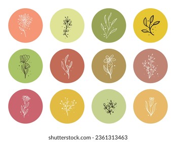 Conjunto dibujado a mano de elementos florales, flor, hojas. icono de resaltado