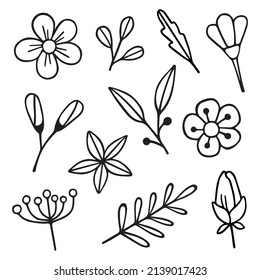 Hand drawn set of floral flower, leaf, branch. Botany elements in doodle sketch style. Vector illustration isolated on white background.