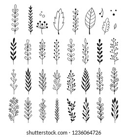 Hand drawn set of floral, plant elements: leaf, branch, vine, flower. Cut isolated vector illustration for your frame, border, ornament design. Doodle sketch style. Floral elements drawn by brush-pen