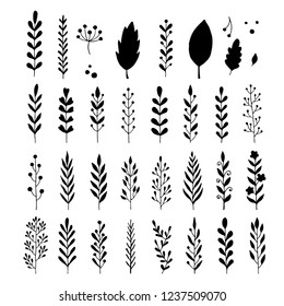 Hand drawn set of floral, plant elements: leaf, branch, vine, flower. Cut isolated vector illustration for your frame, border, ornament design. Doodle sketch style. Floral elements drawn by brush-pen