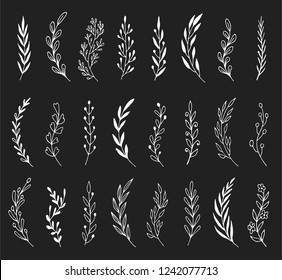 Hand drawn set of floral, plant elements: leaf, branch, vine, flower. Cut isolated vector illustration for your frame, border, ornament design. Doodle sketch style. Floral elements drawn by brush-pen