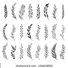 Hand drawn set of floral, plant elements: leaf, branch, vine, flower. Cut isolated vector illustration for your frame, border, ornament design. Doodle sketch style. Floral elements drawn by brush-pen