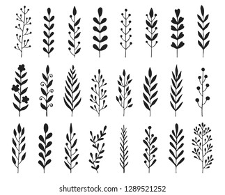 Hand drawn set of floral, plant elements: leaf, branch, vine, flower. Cut isolated vector illustration for your frame, border, ornament design. Doodle sketch style. Floral elements drawn by brush-pen