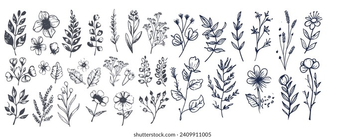 Hand drawn set of floral, plant elements: leaf, branch, vine, flower . A set of isolated vector illustration templates