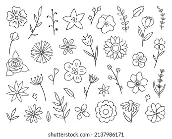 Hand drawn set of flowers and branches doodle. Floral and herbal elements.in sketch style. Vector illustration isolated on white background.