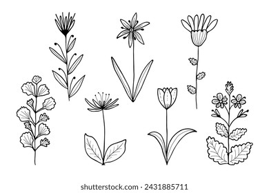 Hand drawn set flowers and branches doodle. Black and white vector illustration sketch. EPS10
