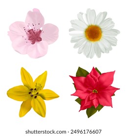 hand drawn set of flowers illustration