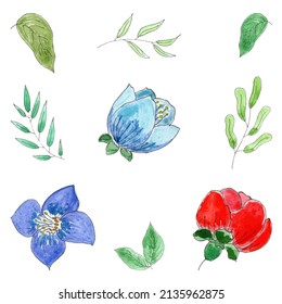 Hand drawn set of flowers. leaves and branches. Watercolor