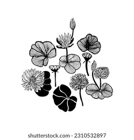 Hand drawn  set with  flowers lotos. Seamless texture for fashion prints, wrapping, textile, paper, wallpaper. Vector graphic illustration.