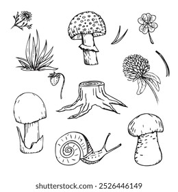 Hand drawn set of forest element. Mushrooms, clover, stump.