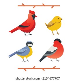 Hand drawn set of four garden birds in flat cartoon style, isolated vector illustration