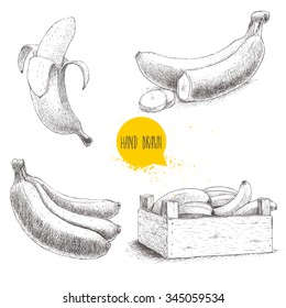 Hand drawn set of fresh ripe bananas. Wooden crate with bananas on a white background. Sketch style illustration.
