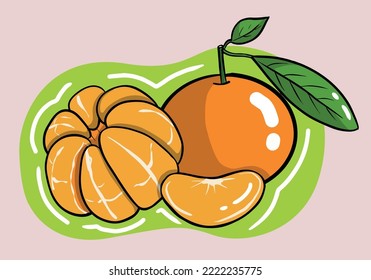 Hand drawn Set of fresh tangerine or mandarin fruits isolated on background. Vector illustration.