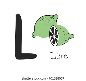 Hand drawn set of fruit and letter. Vector artistic drawing food and alphabet. Summer illustration lime