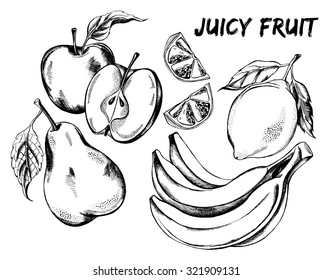 Hand drawn set of fruits - apple, pear, lemon, a bunch of bananas. Vector Illustration.