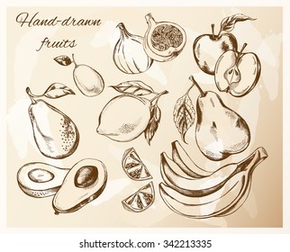 Hand drawn set of fruits - apple, pear, kumquat, figs, avocados, lemon, a bunch of bananas. Vector Illustration.