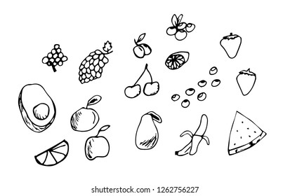 Hand drawn set of fruits and berries vector