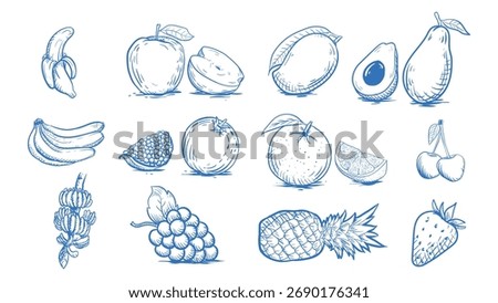 hand drawn set of Fruits vector illustrations isolated in white color, line arts, doodles 