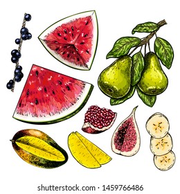 Hand drawn set of fuits. Vector colored isolated objects. Fig, mango, pomegranate, pear branch, acai, banana slices, watermelon, blueberry. For restaurant menu food package poster design