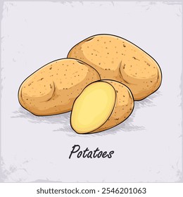 Hand drawn set of full and half cut healthy organic golden potatoes isolated on white background