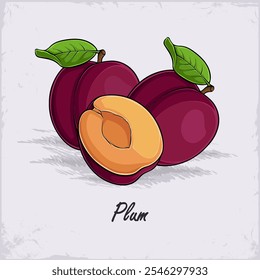 Conjunto de ciruelas de color púrpura pardusco fresco jugoso y medio cortado dibujado a mano, rico en antioxidantes 