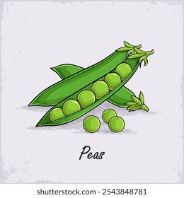 Hand drawn set of full and peeled organic healthy green peas pods good for body health isolated