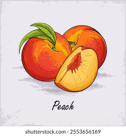 Hand drawn set of full and sliced fresh juicy tropical peaches with green leaves on top ready to eat