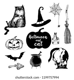 Hand drawn set of funny cats and Halloween elements
