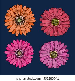a hand drawn set of gerbera flowers;  perfect for wedding invitations and greeting cards