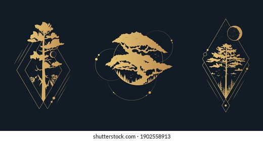 Hand drawn set of golden tree badges with pines, oaks, moon and stars. Vector isolated gold forest prints.  Geometric wanderlust label or tattoo frames.